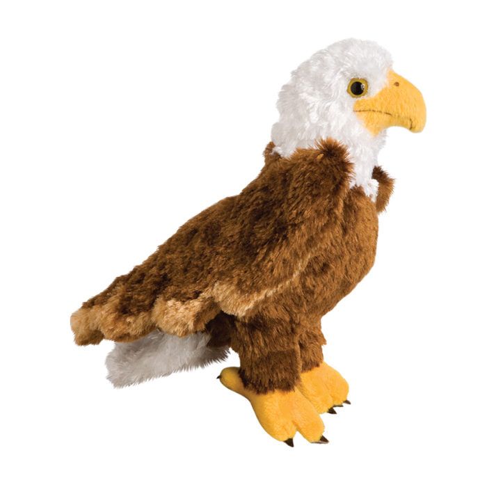 Eagle - Colbert