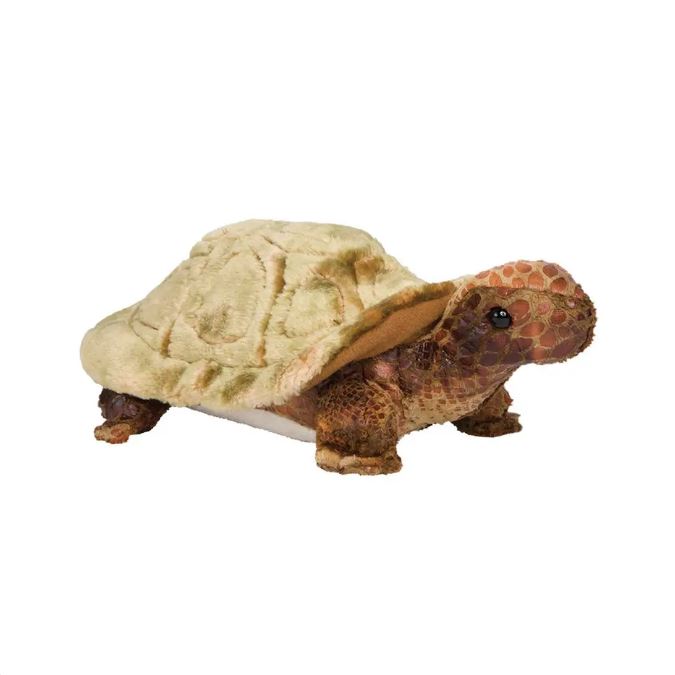 Turtle - Speedy