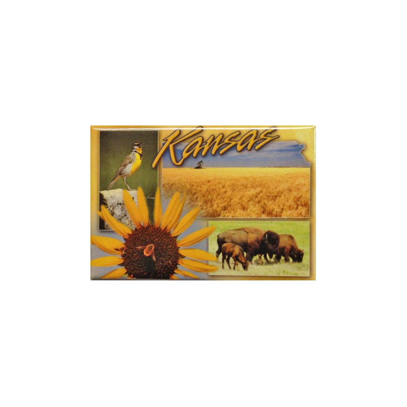 Magnet - Kansas Symbols